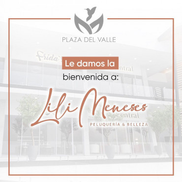LOCAL 15: LILI MENESES PELUQUERIA & BELLEZA